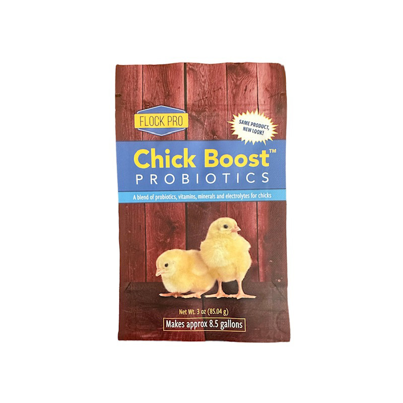 Clamshell Blister Packaging Clamshell Blister Packaging